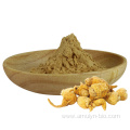 maca extract powderimmune system health